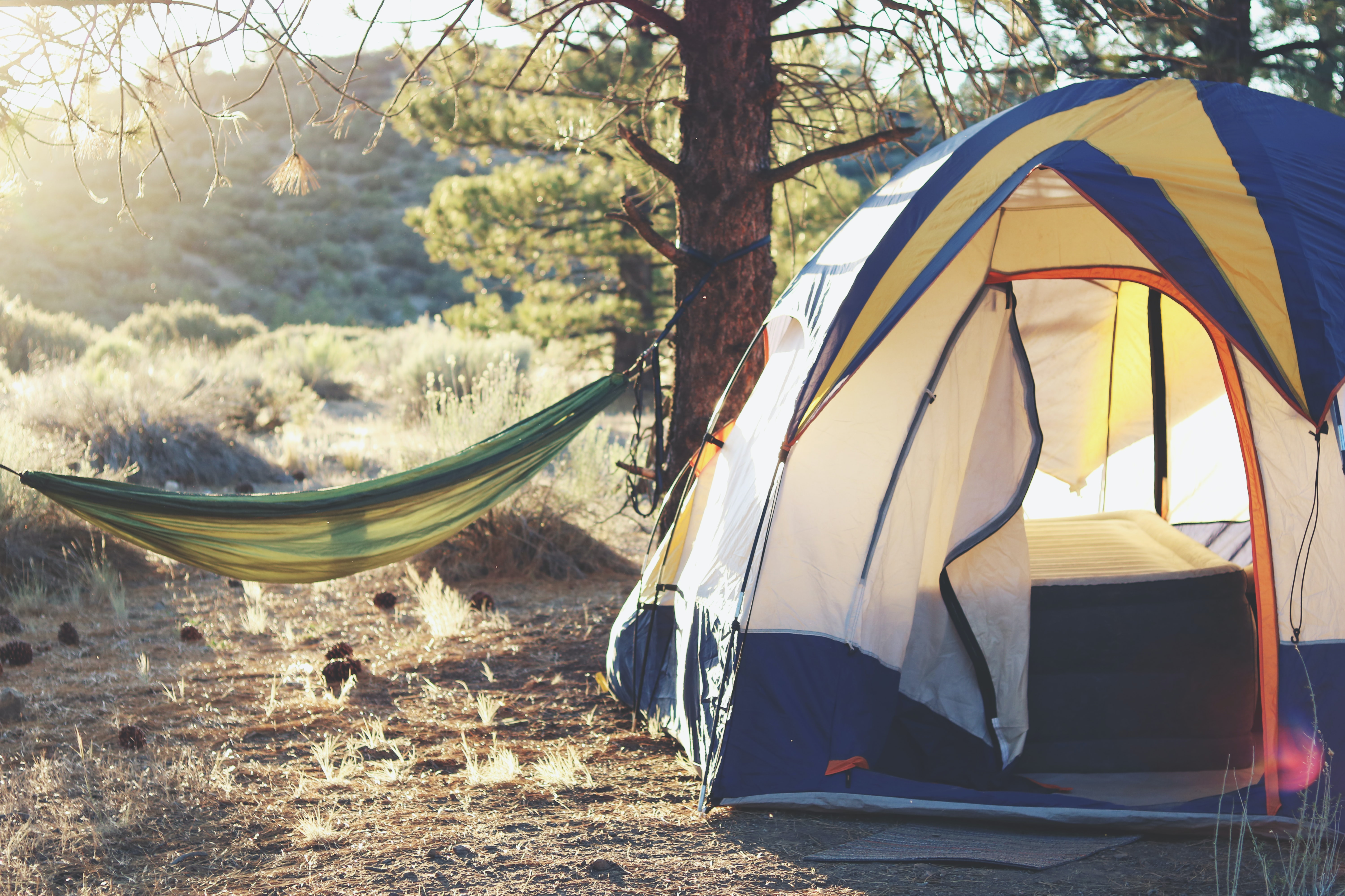 photo of a tent and hammock in the sunshine